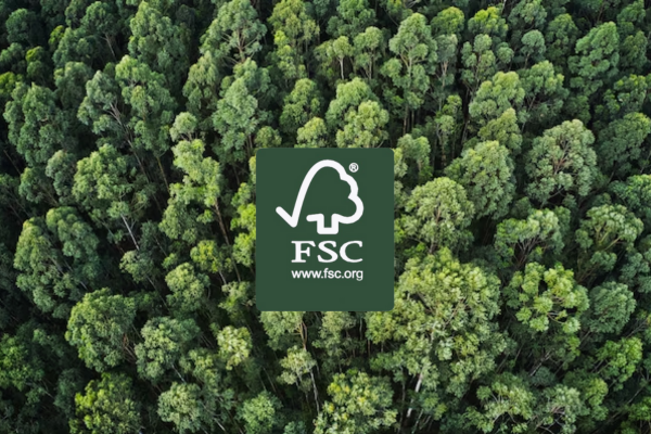 O Papel da FSC na Preservação da Amazónia